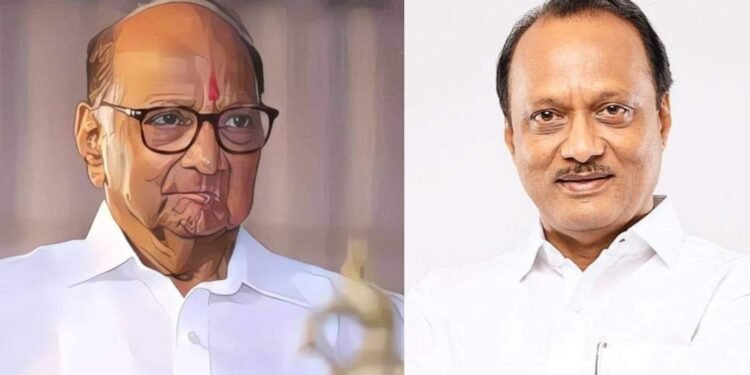 उपमुख्यमंत्री अजित पवार गटाला मोठा धक्का,खा.शरद पवारांनी फोडला अजित पवारांचा एक शिलेदार