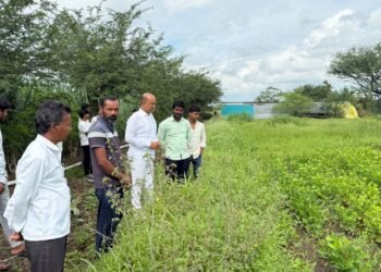 इटकूर व घाटपिंपरी येथे डॉ. प्रतापसिंह पाटील यांची पाहणी