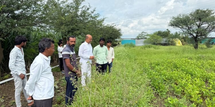 इटकूर व घाटपिंपरी येथे डॉ. प्रतापसिंह पाटील यांची पाहणी